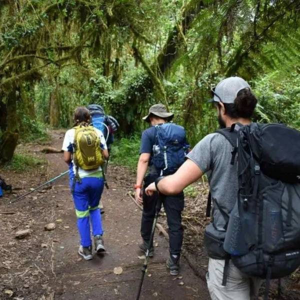 Kilimanjaro Machame Route And Wildlife Safari - 9 Day Adventure Tour Image