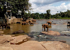 4N 5D Srilanka Tour