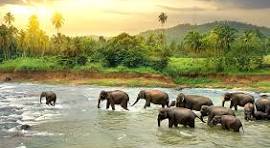 SRI LANKA 5 Nights 6 Days