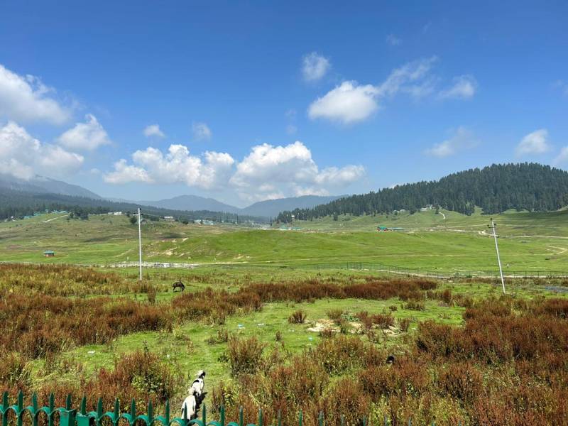 Srinagar – Gulmarg – Sonamarg – Pahalgam  Tour package (5N/6D)