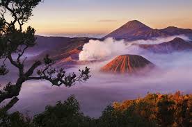 Surabaya Tour Package 2N/3D Image
