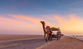 Heritage Bhuj And Dholavira Tour With Rann Utsav