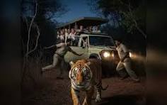 Ranthambour Tiger Tour Jaipur