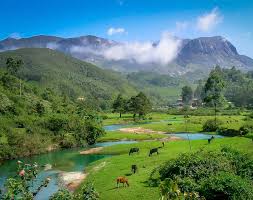 Awesome Madurai, Megamalai, Theni Package THENI