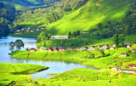 Madurai, Thekkady, Kuttikanam Package