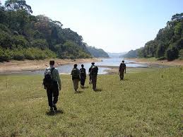 Madurai, Thekkady, Kuttikanam Package