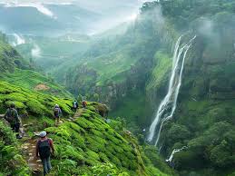 Long Weekend In Wayanad 3N/4D Wayanad