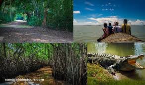 Dangamal , Bhitarkanika Sanctuary Wildlife Trip 2N/3D