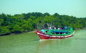 Dangamal , Bhitarkanika Sanctuary Wildlife Trip 2N/3D