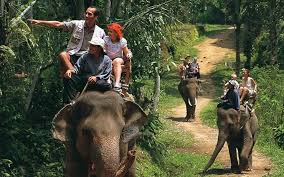 Thekkady 1N/2D Tour