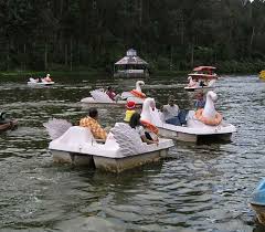 Mysore, Bandipur,Ooty Package (2N/3D) Mysore