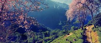 Himalayan Golden Triangle - Darjeeling, Kalimpong, Gangtok 5 Nights / 6 Days