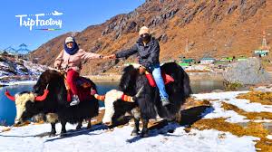 Himalayan Golden Triangle - Darjeeling, Kalimpong, Gangtok 5 Nights / 6 Days