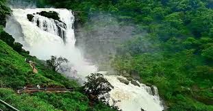 Coorg Tour 2N/3D Coorg