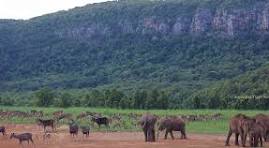 Simlipal National Park wildlife Trip Odisha 2N/3D Balasore