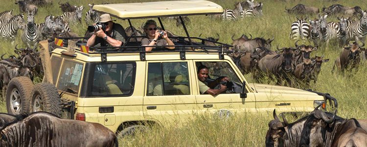 8 Days Wildlife Photographic Safari Tour Image