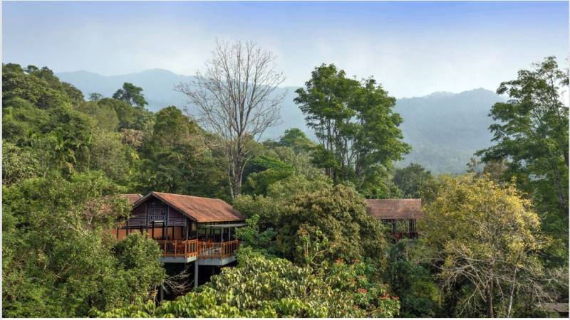Wayanad Package For 2 Night 3 Days