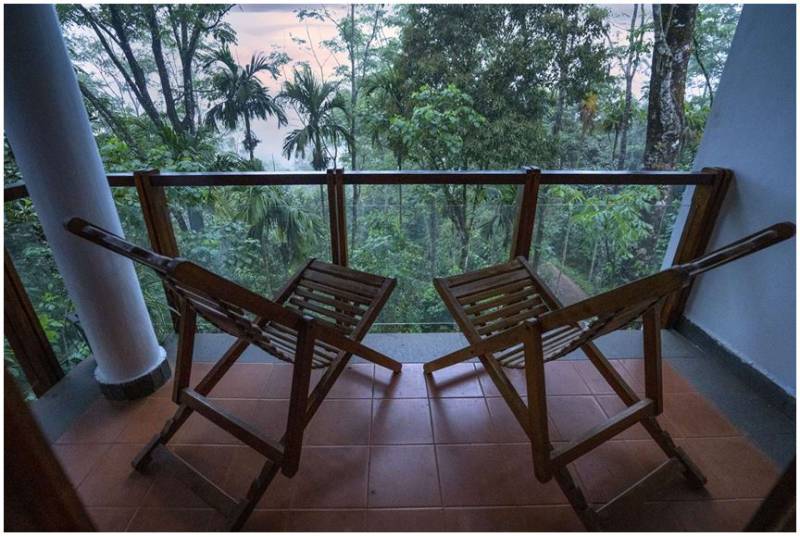 Wayanad Package for 2 Night 3 Days