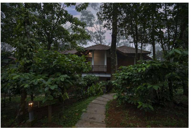 Wayanad Package for 2 Night 3 Days