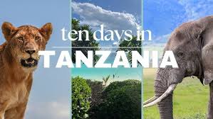 Tanzania 10-Day Safari & Island Escape Image