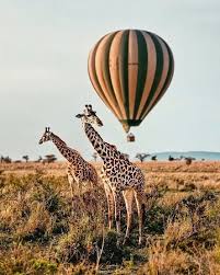 Tanzania 10-Day Safari & Island Escape