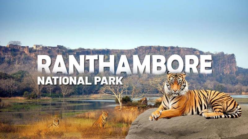 Rajasthan Jaipur(2N),  Ranthambore(2N) Holiday Package Image