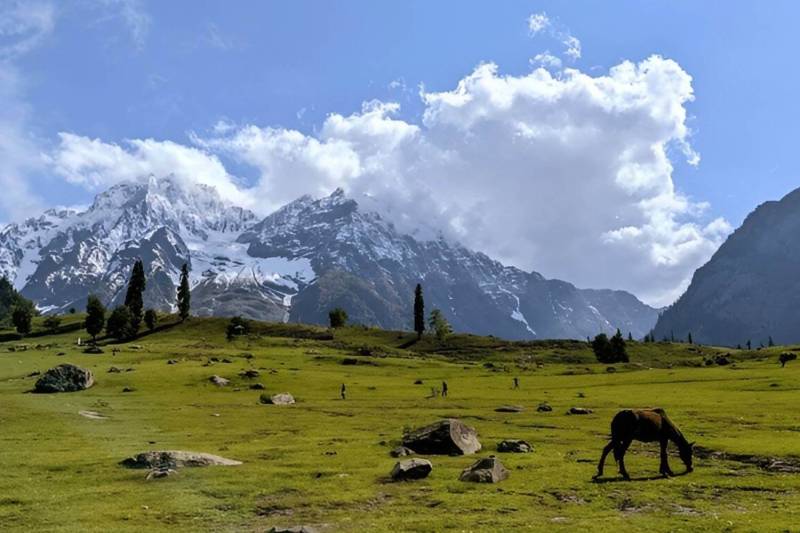 05 Nights 06 Days Kashmir Holiday Package From Srinagar