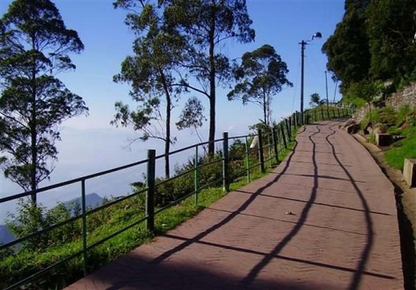 2 Nights / 3 Days Kodaikanal Package