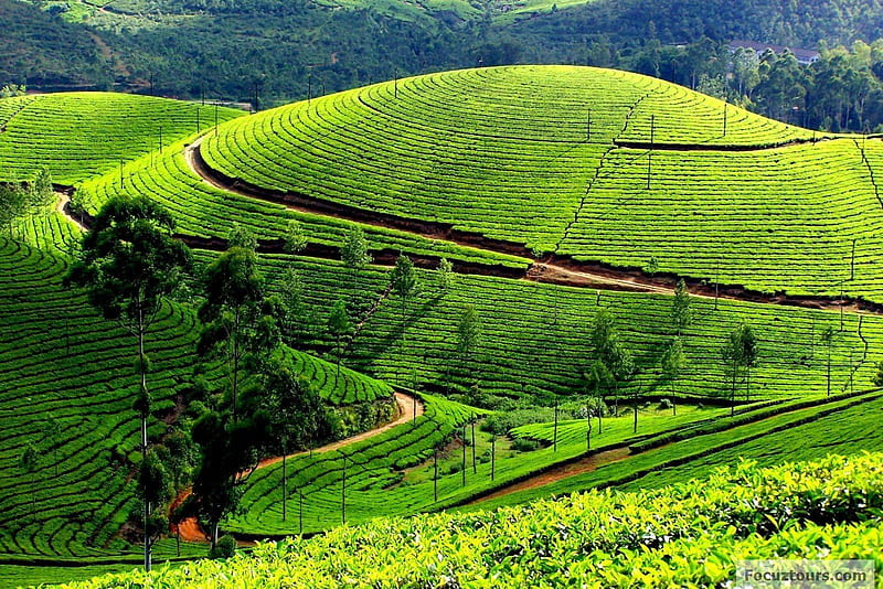 2 NIGHTS / 3 DAYS Valparai, Athirapalli  Adventure Tour Package