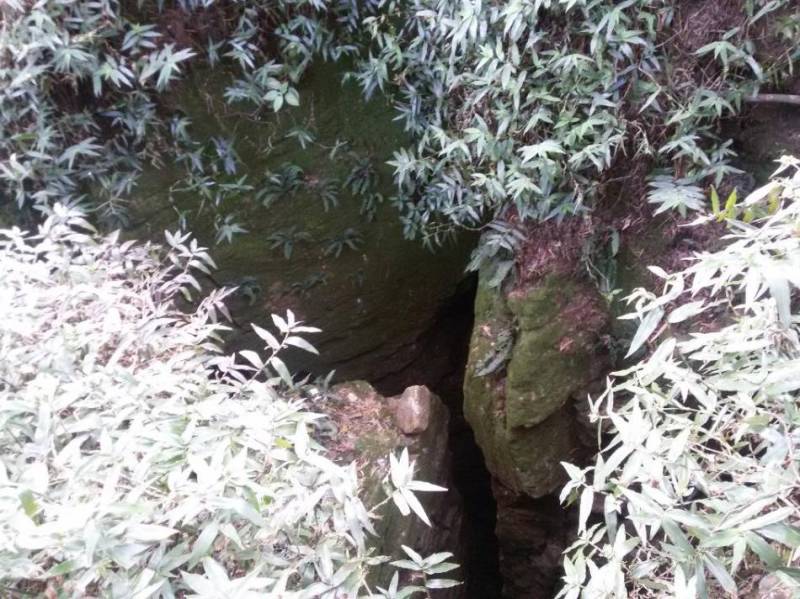 2 Nights 3 Days Masinakudi Tour Pakage