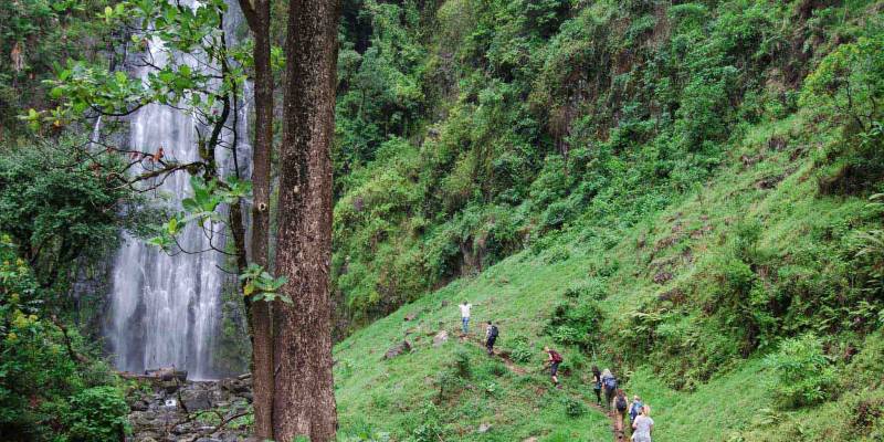 7 Days Tanzania Camping Safari Tarangire - Serengeti - Ngorongoro Tour