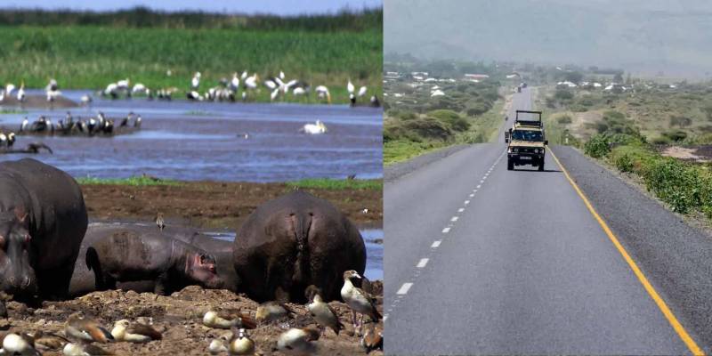3 Days Tanzania Family Safari Tour