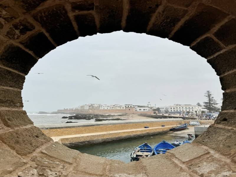 1 Day trip Marrakech to Essaouira Day Trip with Coastal Views