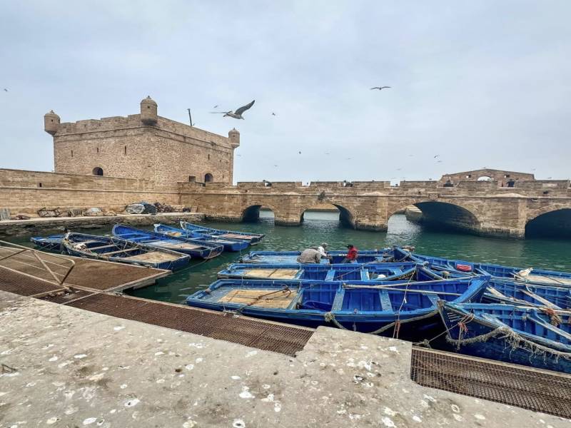 1 Day trip Marrakech to Essaouira Day Trip with Coastal Views