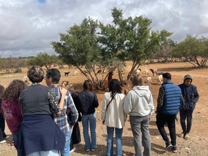 1 Day trip Marrakech to Essaouira Day Trip with Coastal Views