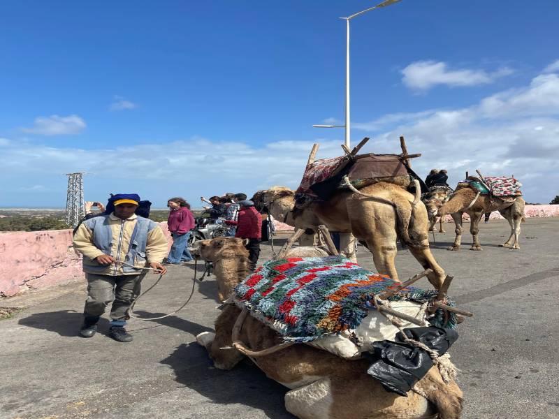 1 Day trip Marrakech to Essaouira Day Trip with Coastal Views