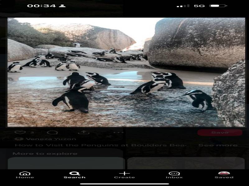 Cape Town Jeep Adventure