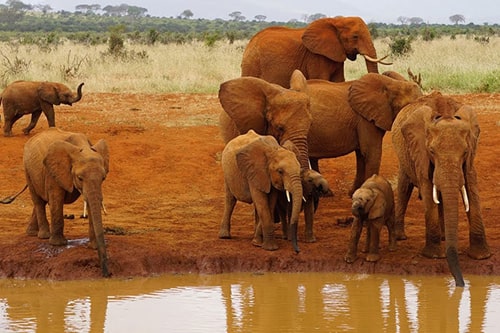 7 Days Kenya Adventure Safari Tour