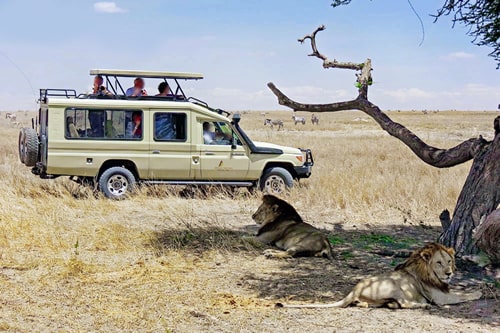 10 Day Complete Kenya Safari Tour