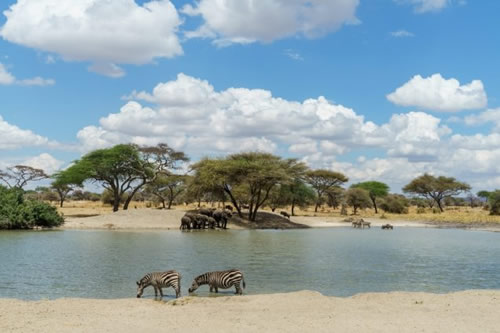 6 Day Tanzania Culture And Wildlife Safari Tour