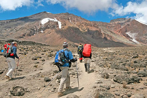 8 Days Mount Kilimanjaro Climbing Via Umbwe Route Tour