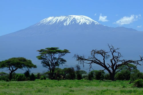 9 Days Mount Kilimanjaro Climbing Via Lemosho Route Tour