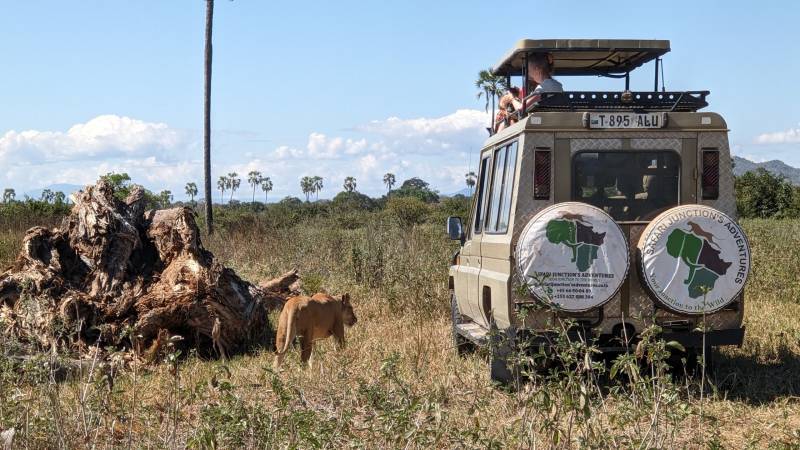1 Night 2 Days Ruaha Joining Safari