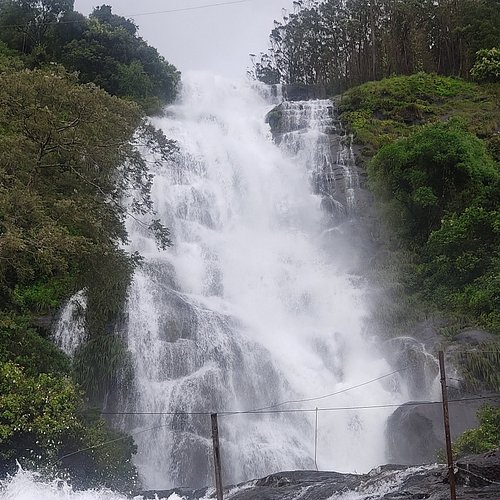 KERALA HONEY MOON PACKAGE FOR COUPLES