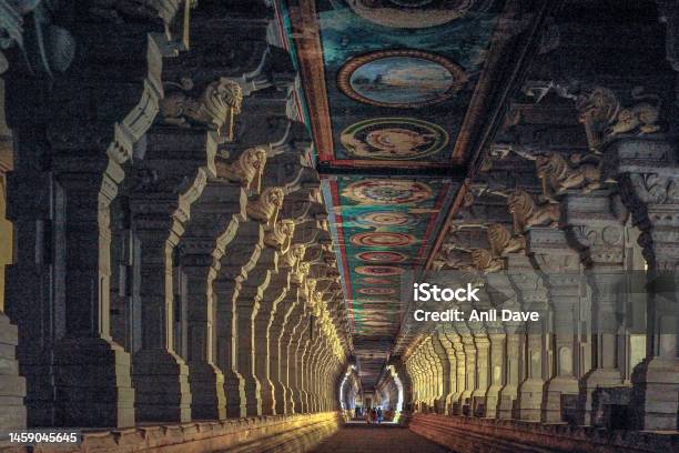 9N 10D Kerala And Tamil Nadu Tour