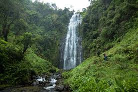 Day Trip To Pugu Hills Forest Reserve