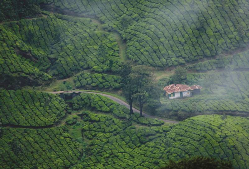 Kerala Deluxe Circuit 6 Night - 7 Day Tour