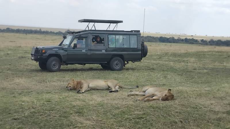 2 Nights, 3 Days to Maasai Mara Game Reserve