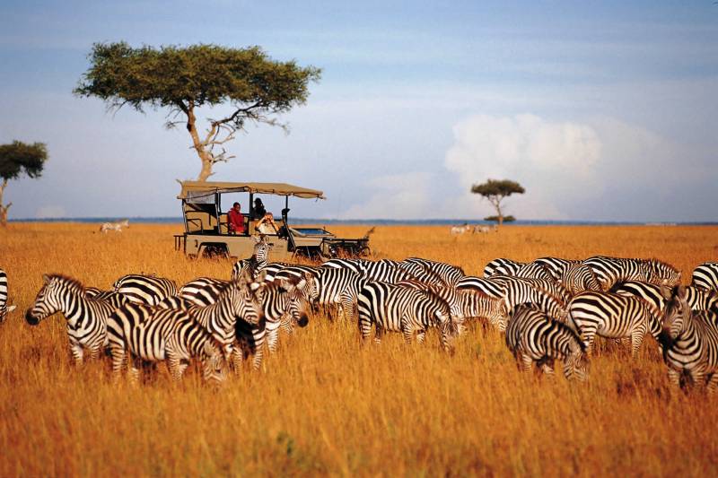 3 Days Masai Mara National Reserve Fly-in Safari