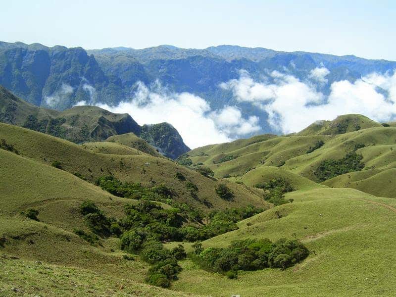 Mukurthi National Park Tour